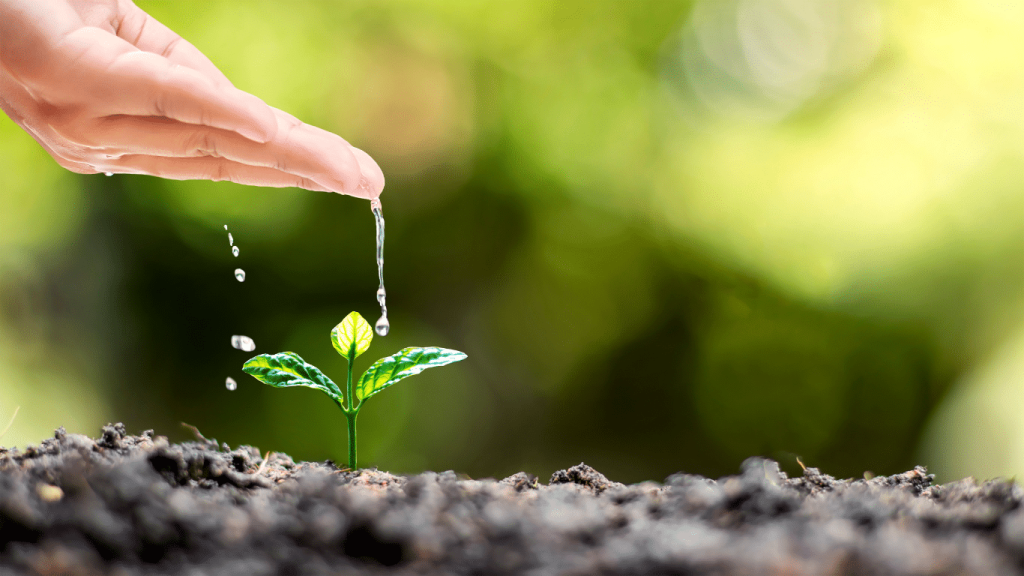 prírodná podpora duševného zdravia, bylinky proti stresu, rovnováha tela a mysle, relax s prírodnými doplnkami, harmónia s prírodou, dobrz spanok, moringa, ashwagandha, maca, zen sen, vyrovnana energia, dobra nalada