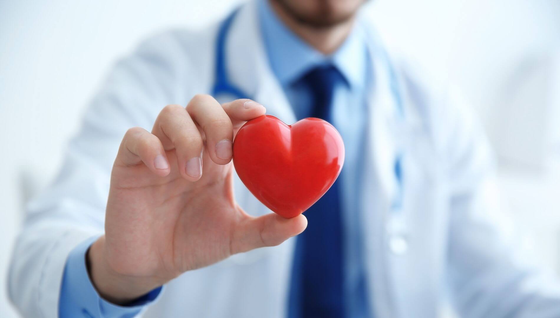 cholesterol, yucca schidigera, alfalfa, vysoky cholesterol