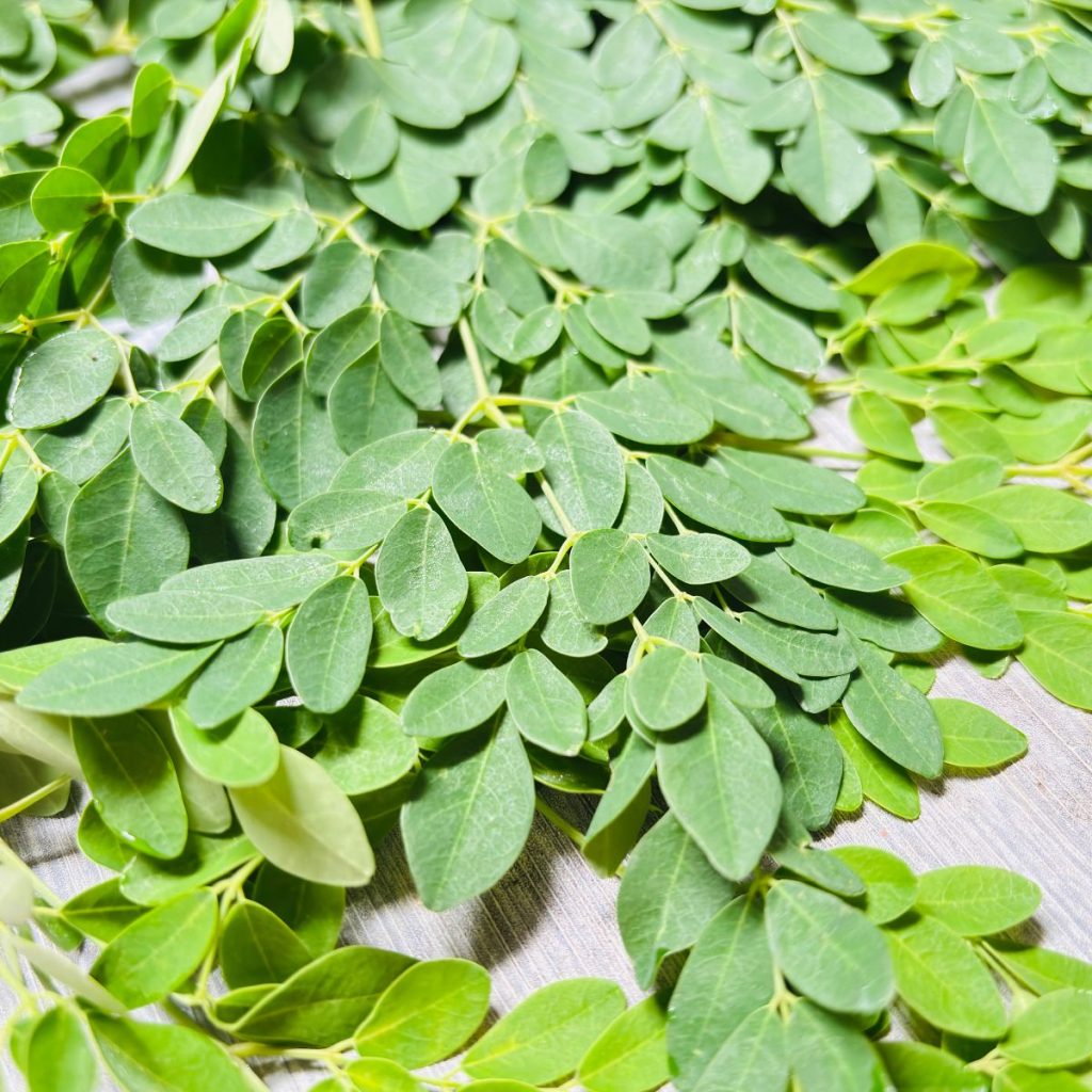 Moringa
